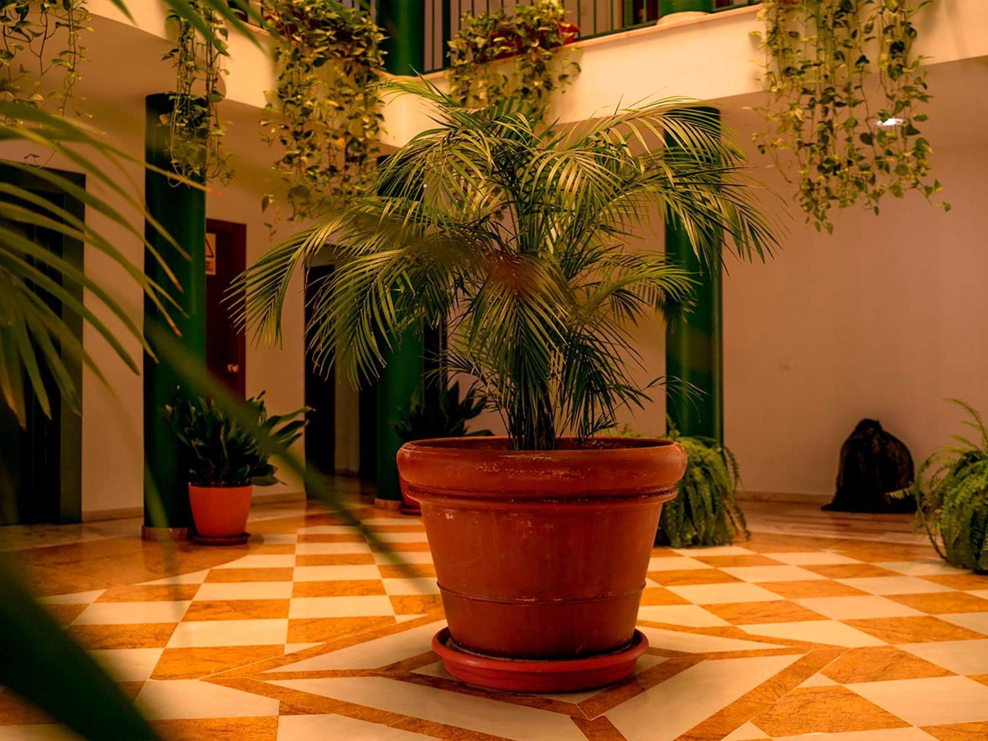 Apartamentos Vértice Bib Rambla Sevilla Exterior foto